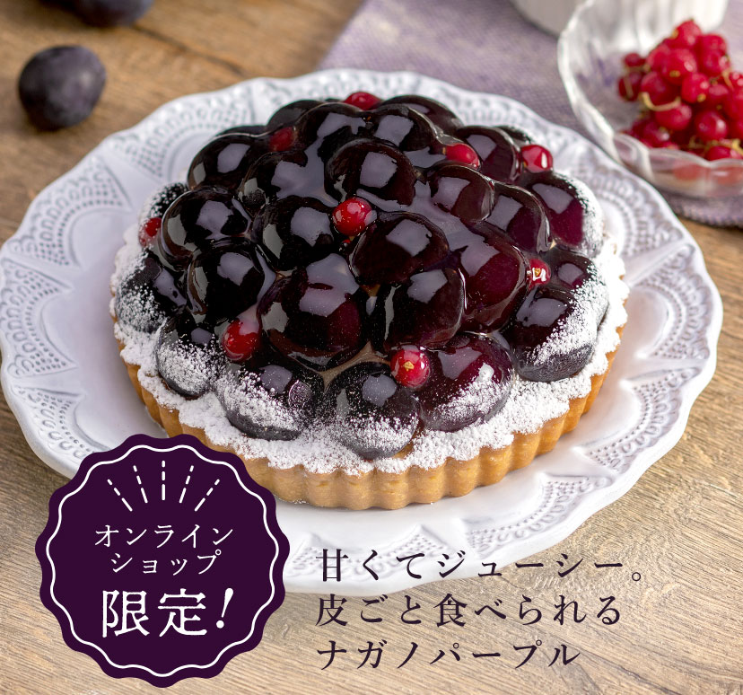 La Maison AUTOMN GIFT｜フルーツタルトのラ・メゾン・アンソレイユ