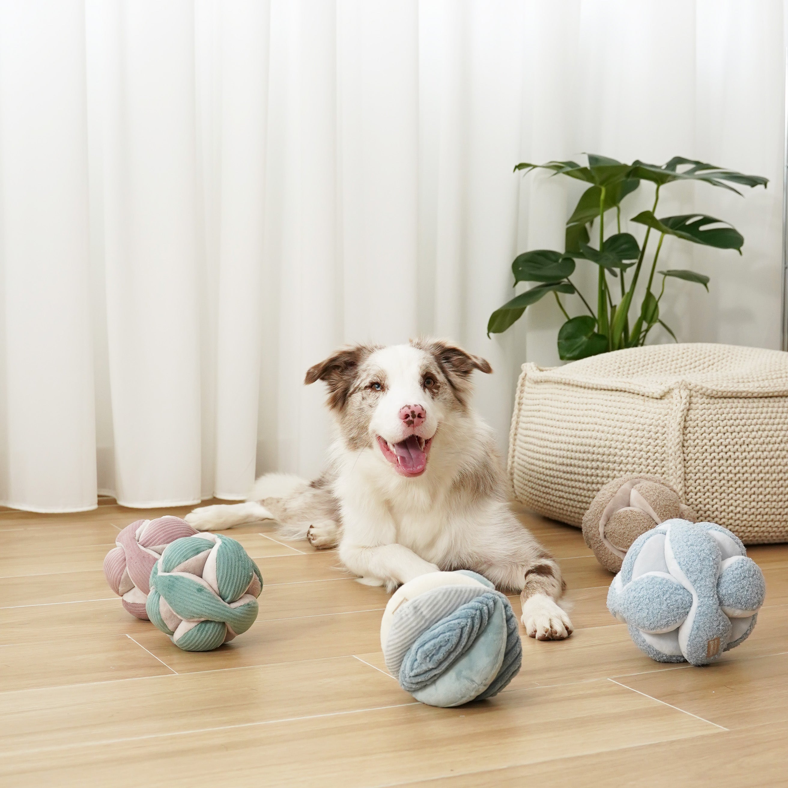 MONTI - Enrichment and Interactive Dog Toy | Puzzle Dog Toy
