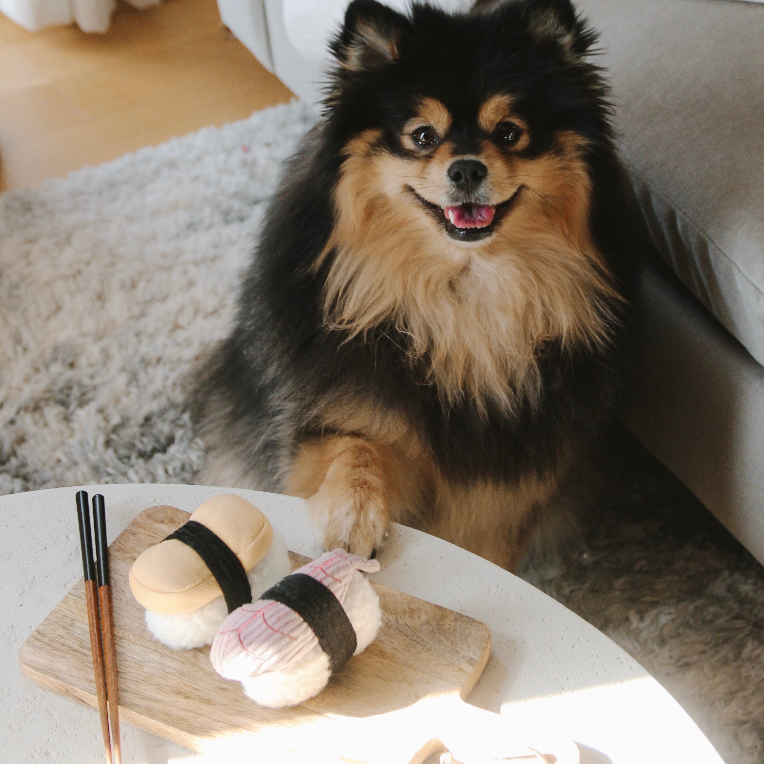 SUSHI - Enrichment and Interactive Dog Toy