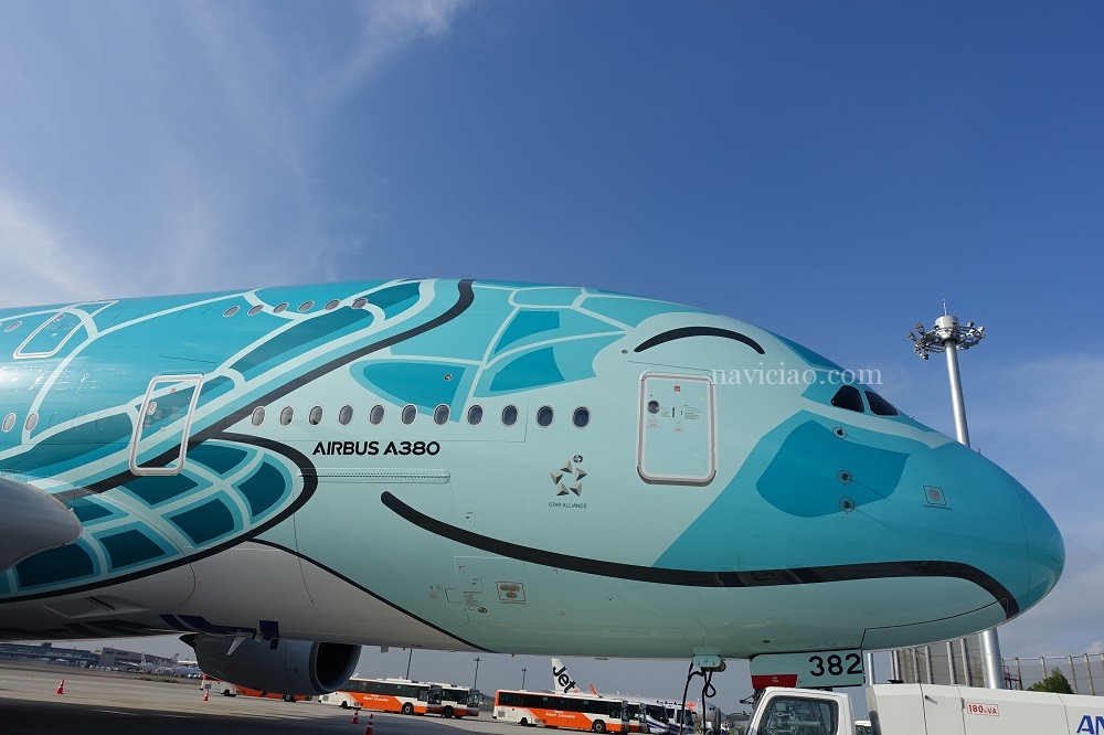 第2回「ANAフライングホヌのチャーターフライトレポ」カイくんの離陸