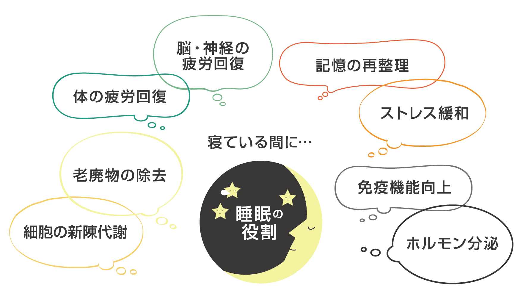 介護予防コラム⑬】寝る前15分で睡眠の質が変わる!?｜お知らせ｜桜十字