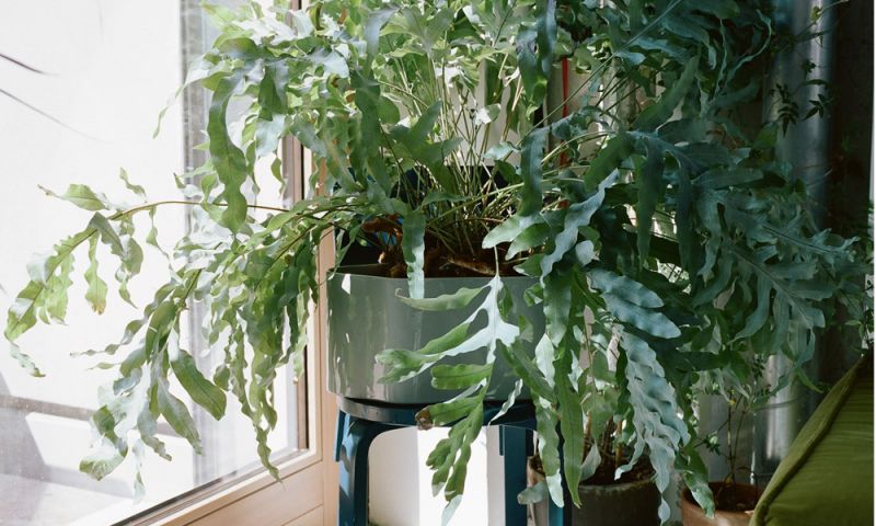 リーヒティエ プラントポットS / TypeA - ブルー - 植木鉢・プランター