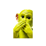 モンキーイワザルライム マネーボックス - オブジェ・置物の通販