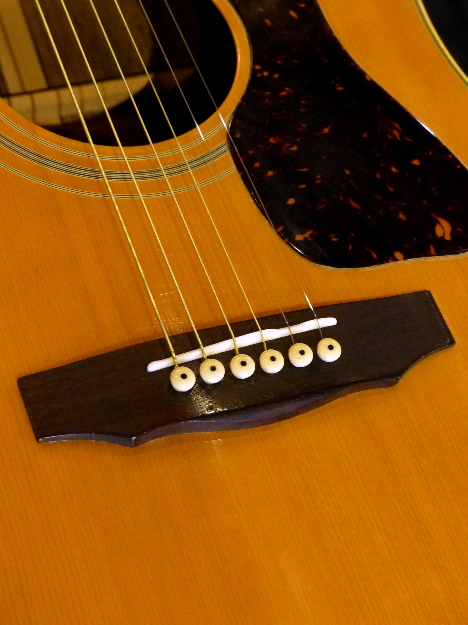 Aria '70s GL500 – 京町家のギターショップ ライトニン