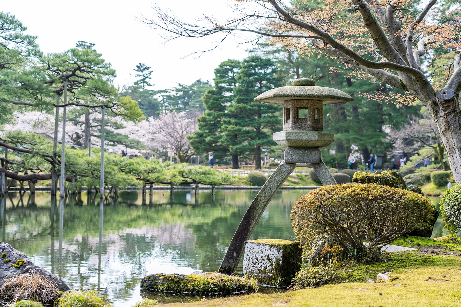 おもてなし研究講座「兼六園めぐりガイドツアー」レポート | もてラボ