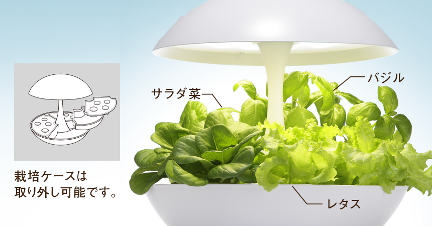 Akarina01 OMA01 | 灯菜 LED水耕栽培器 | おしゃれなインテリア照明店