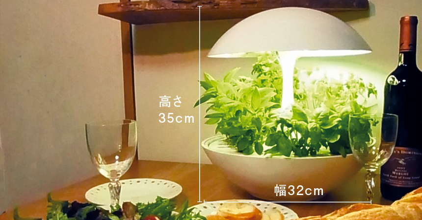 Akarina01 OMA01 | 灯菜 LED水耕栽培器 | おしゃれなインテリア照明店