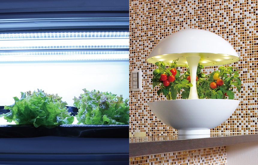 新潟工場では植物栽培用のLED照明を開発しています | おしゃれ照明器具