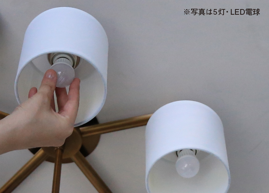 LEDシャンデリア 8灯 セード付き GCH001-8SD | おしゃれなインテリア