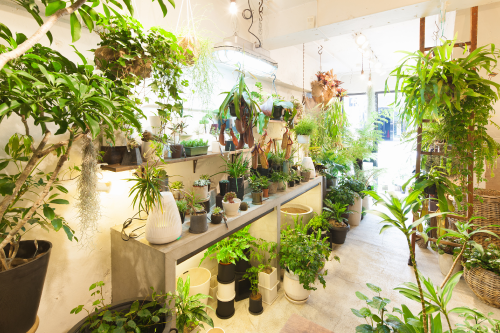 about mokuhon – mokuhon