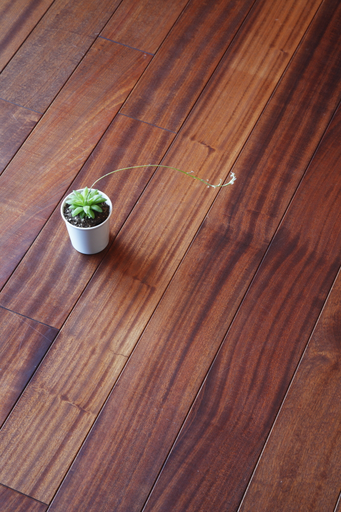 サペリ ーアフリカ育ちの美しい木ー ｜ BLOG詳細 ｜ マルホン