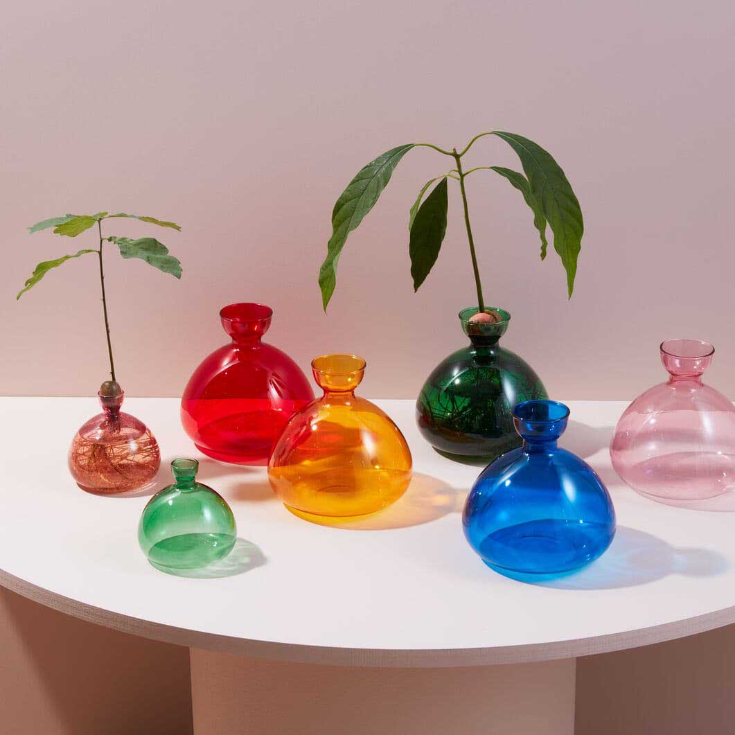 Avocado ベース クリア(クリア)：ホーム