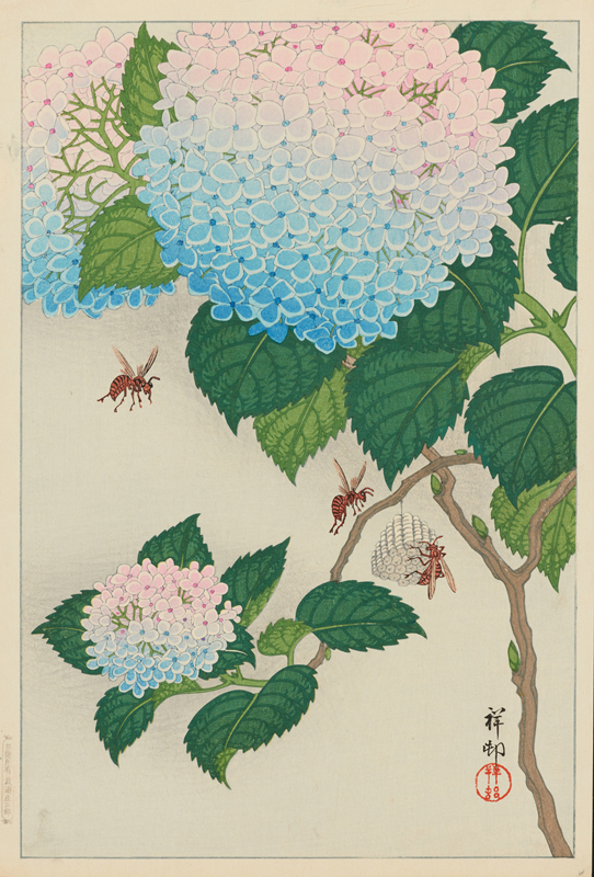 紫陽花] - 東京国立近代美術館