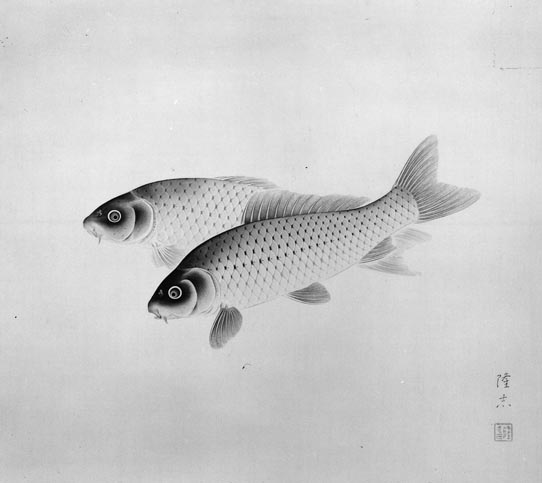 双鯉 - 東京国立近代美術館