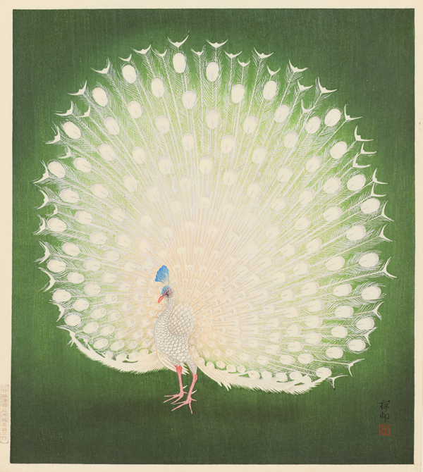 孔雀] - 東京国立近代美術館