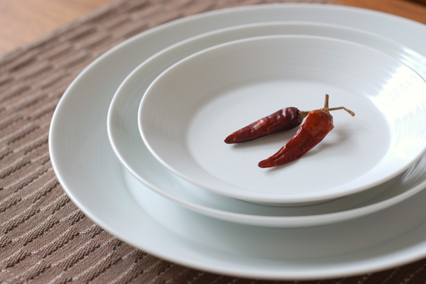 白山陶器 ミストホワイト プレート 大｜和食器の通販 monsen