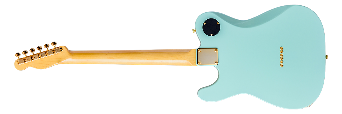 REGGAE MASTER - レゲエマスター | GUITAR | MOON GUITARS - 国産の