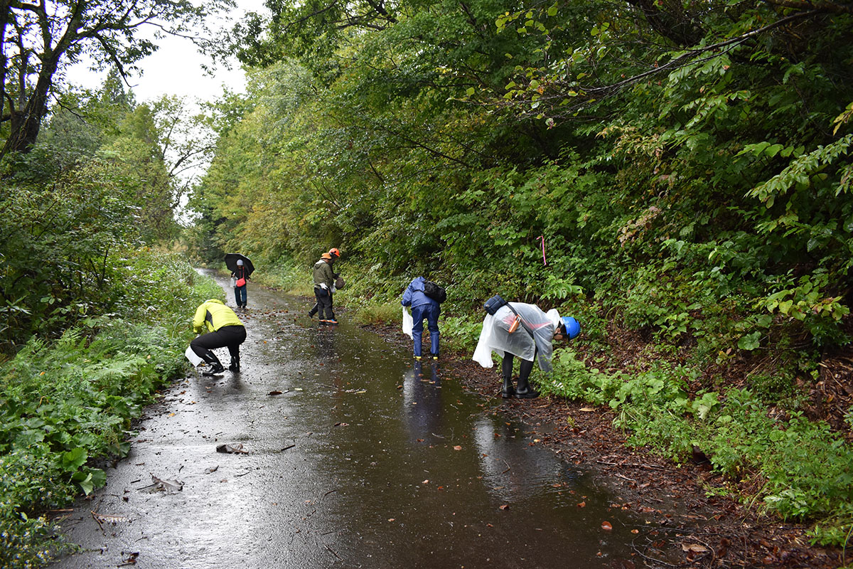 はじめの一歩は雨ニモマケズ。富山県南砺市で種採りをしました | 一般