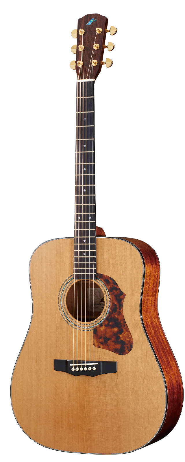 M-82 | HAND MADE PREMIUM | MORRIS GUITARS モーリスギター