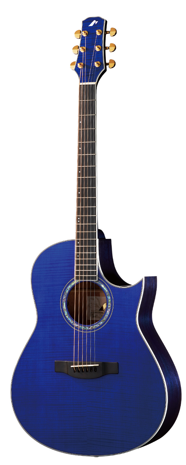 TC-16 | HAND MADE PREMIUM | MORRIS GUITARS モーリスギター