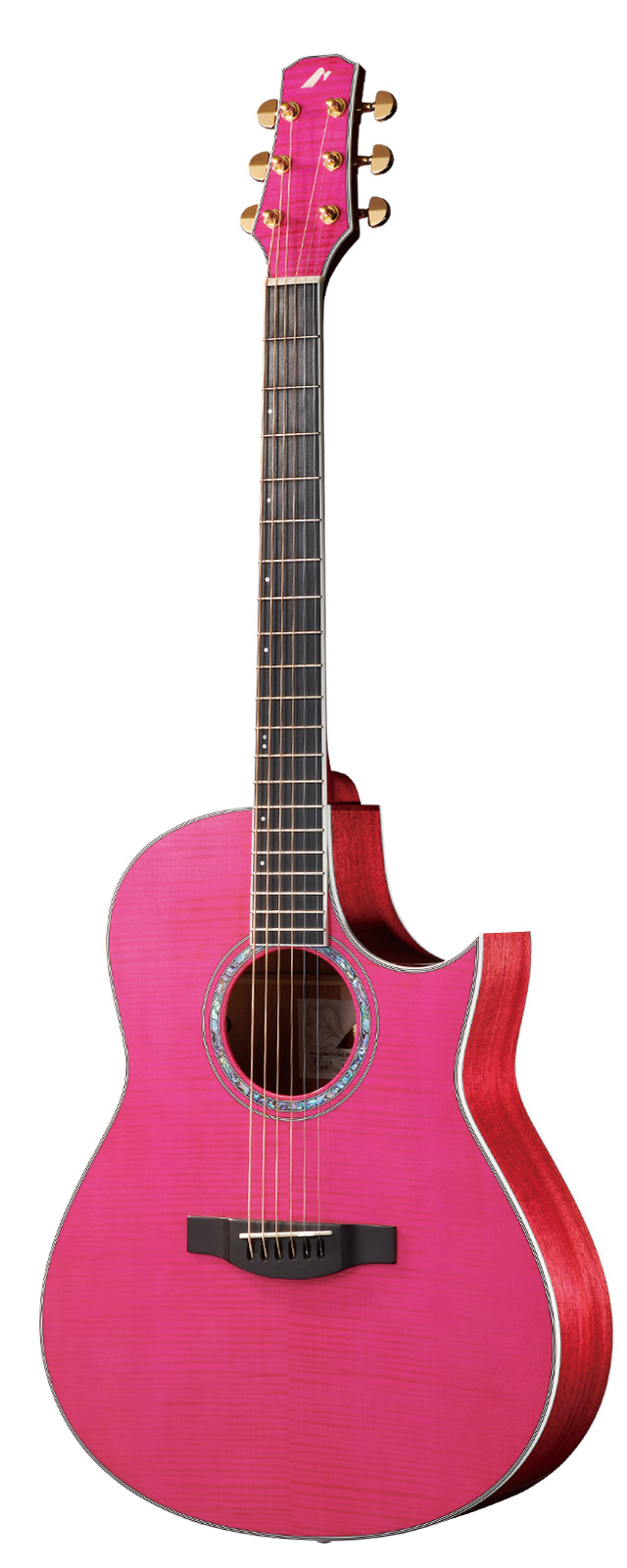 TC-16 | HAND MADE PREMIUM | MORRIS GUITARS モーリスギター