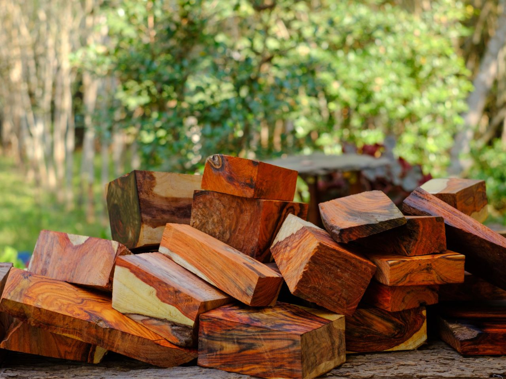 アフリカンローズウッドの魅力 - Forest Life 森と木と暮らしを考える