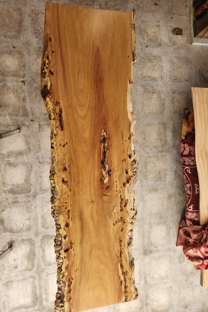 天然木 東京 新宿 東五軒町展示 楠（くすのき）材 一枚板 セール｜一枚