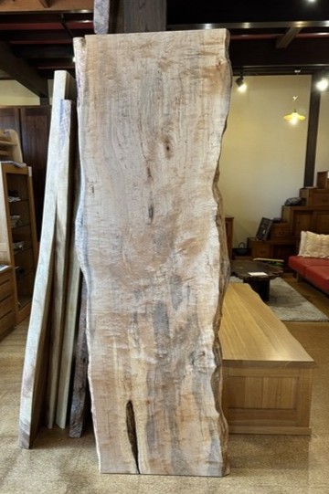 天然木 神奈川県 海老名店展示 カエデ材 一枚板 テーブル用天板 セール
