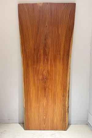 天然木 東京 新宿 東五軒町店展示 欅（けやき・ケヤキ）材 一枚板