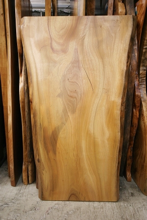 天然木 東京 新宿 東五軒町展示 楠（くすのき）材 一枚板 セール｜一枚