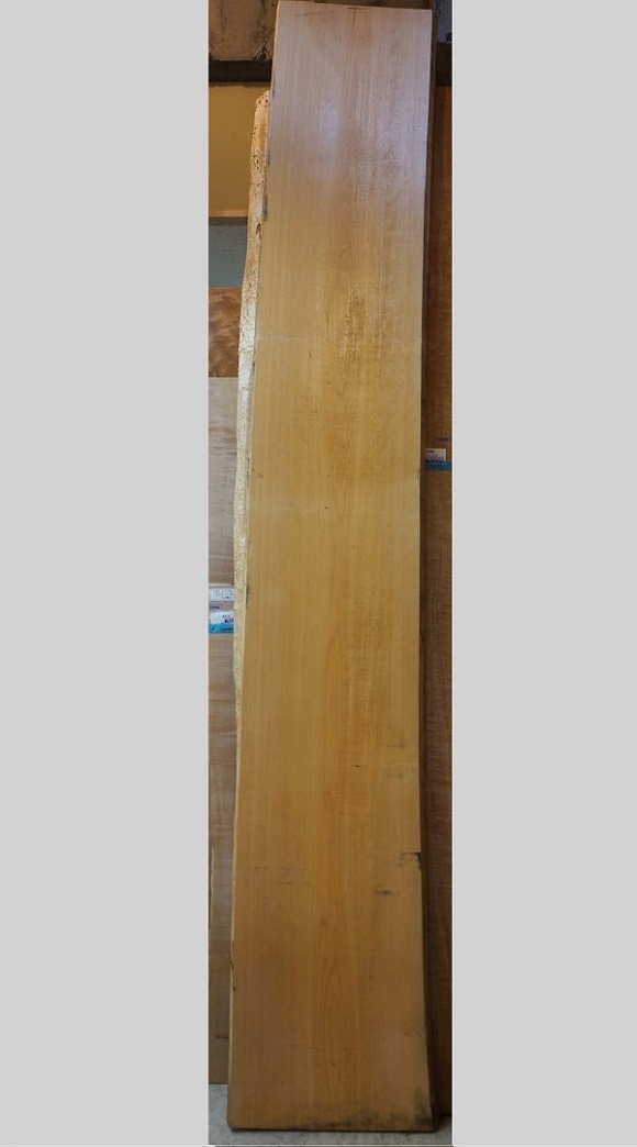 天然木 東京 新宿 東五軒町店展示 欅（けやき・ケヤキ）材 一枚板