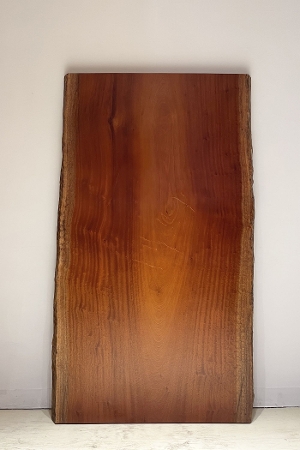 天然木 東京 新宿 東五軒町店展示 欅（けやき・ケヤキ）材 一枚板