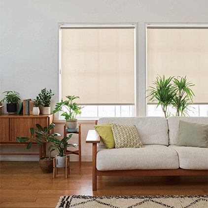 ダブルタイプ ニチベイ｜ロールスクリーン（ロールカーテン）の激安