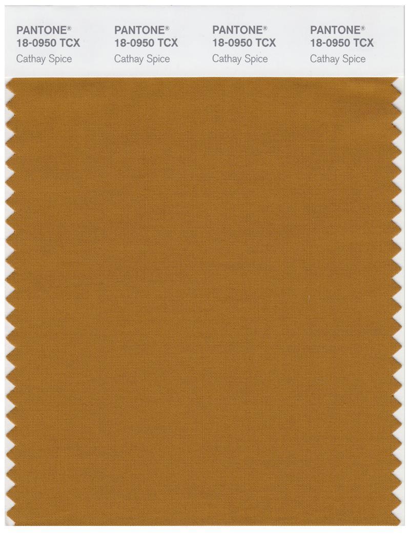 Pantone Smart 18-0950 TCX Color Swatch Card | Cathay Spice