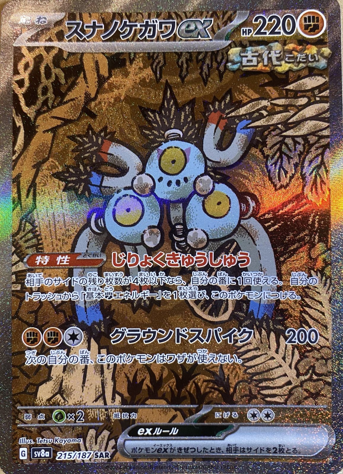 スナノケガワex (SAR) {215/187} [SV8a/テラスタルフェスex] [SV