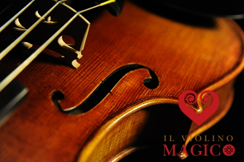 初心者 バイオリン サントヴェルデ | バイオリン専門店