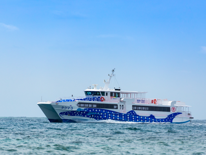 高速船「ジンベエ・マリン」≪那覇ー名護・もとぶ町≫のご案内 | 新着