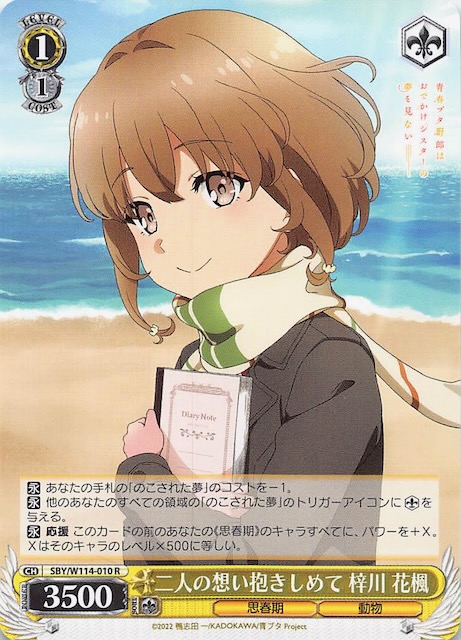 R】二人の想い抱きしめて 梓川 花楓 SBY/W114-010 - マナソース