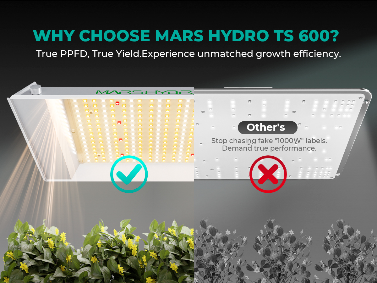 TS 600 Full Spectrum Entry-level Dimmable LED Grow Light For