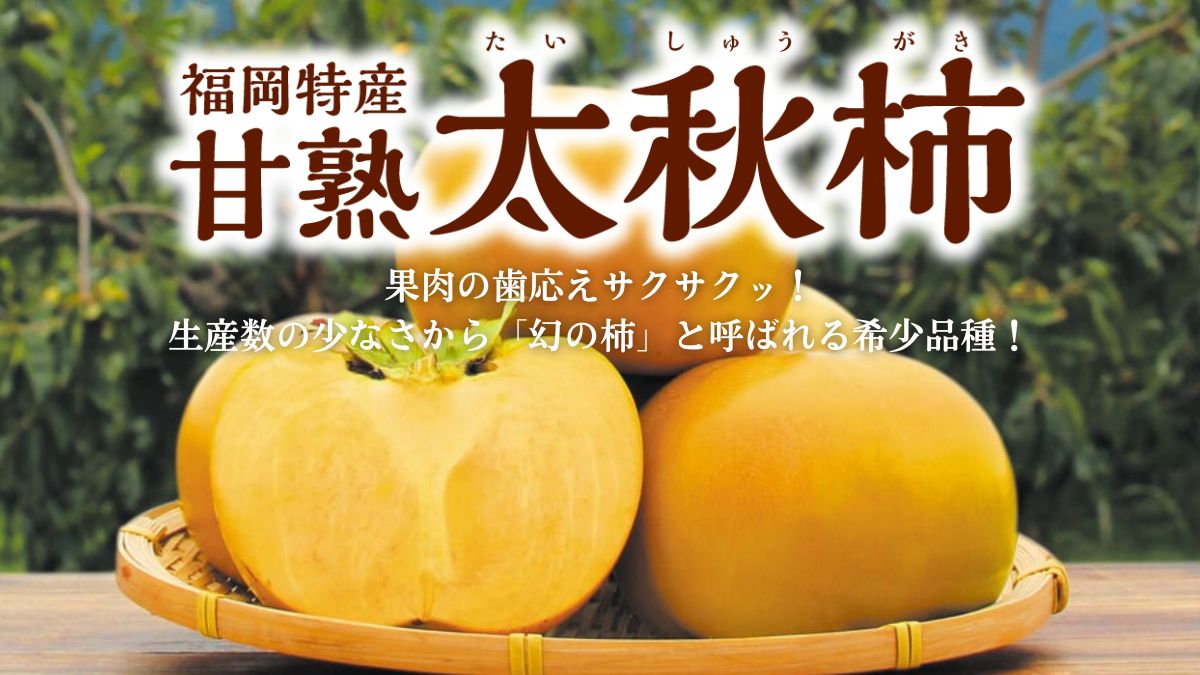 太秋柿】旬の時期に名産地福岡県より通販でお届けします。「幻の柿」と