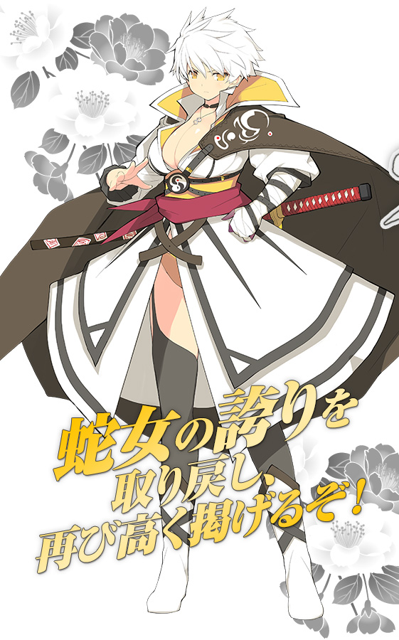 閃乱カグラ SHINOVI VERSUS -少女達の証明-』公式サイト