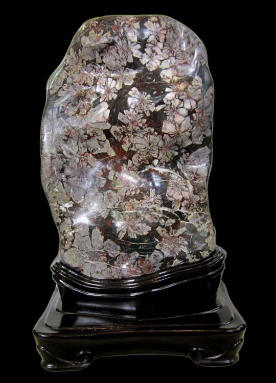 特別天然記念物【根尾谷の菊花石（きっかせき）】の販売ページです。