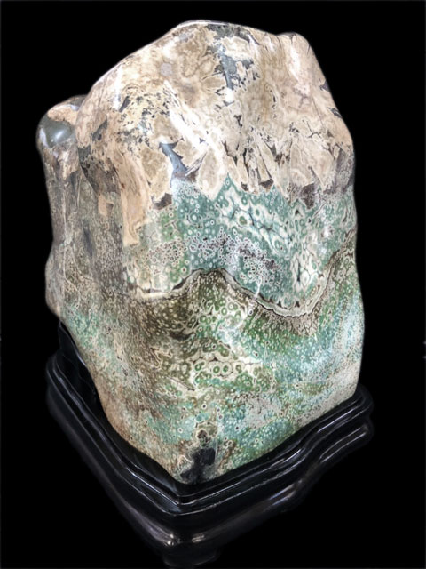 孔雀菊花石 岐阜根尾谷産の孔雀菊花石を販売している増樹です。根尾谷