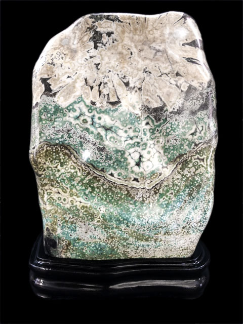 孔雀菊花石 岐阜根尾谷産の孔雀菊花石を販売している増樹です。根尾谷