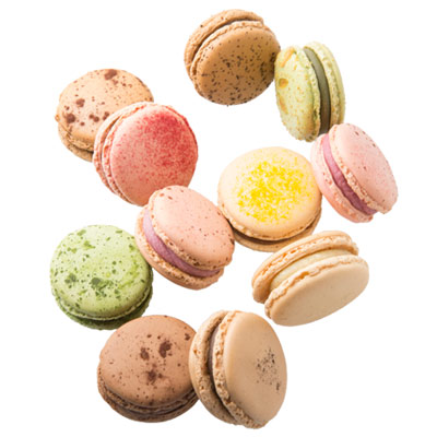 シェフおすすめマカロン10個セット | 洋菓子店パティスリー・ジュゴン