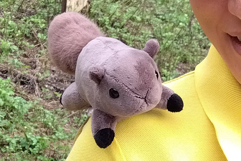 町田リス園 オリジナルギフト｜商品のご紹介