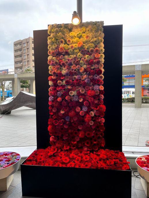 フラワーオブジェ】お花が変わりました！ | お知らせ | 大野城まどかぴあ