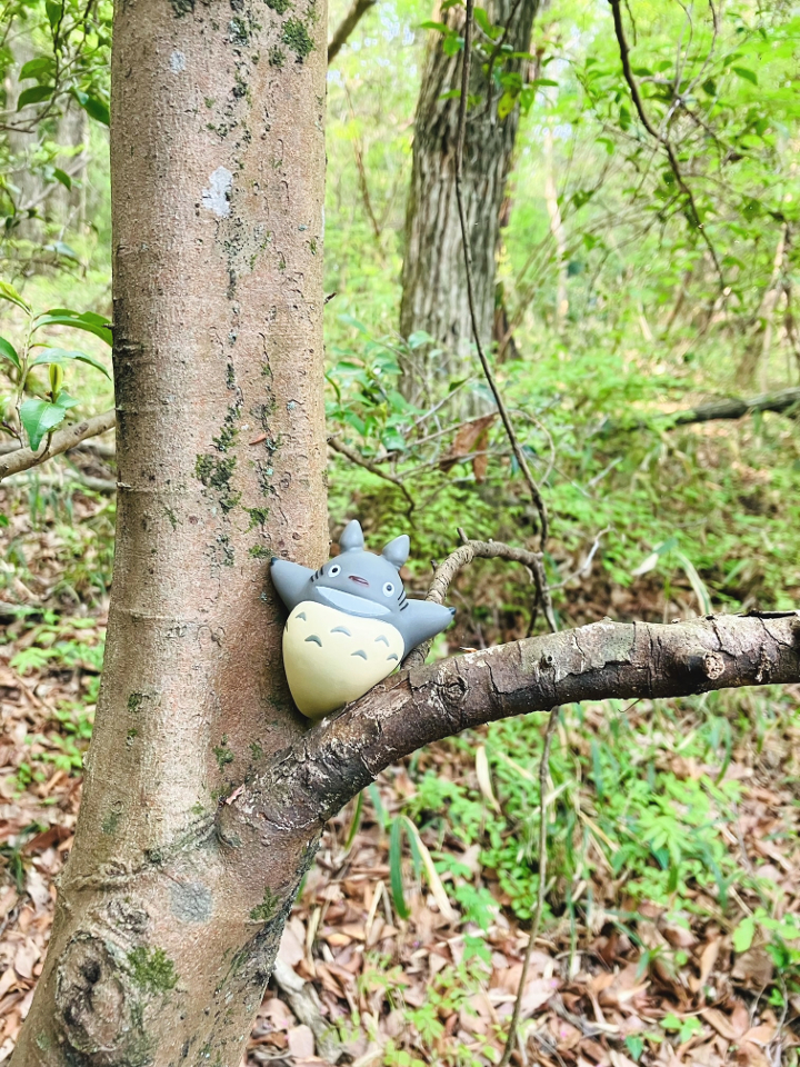 二上山の「トトロルート」へ！ | 株式会社マエダ｜南大阪 松原市