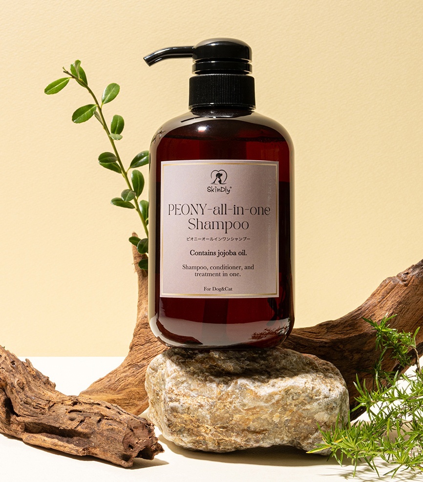 PIONY アールインワンシャンプー【SkinDly】