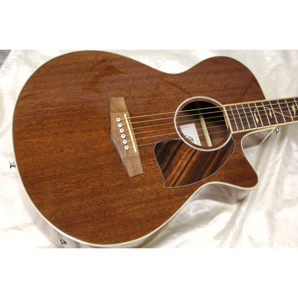 Ibanez(アイバニーズ) ／ PC33MHCE NMH エレクトリック